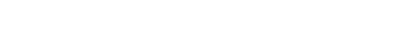 BPCE Solutions informatiques logo