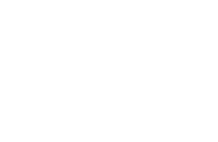 Fédération Internationale de l'Automobile FIA logo