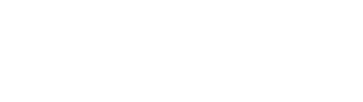 logo GIE Sesam Vitale