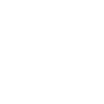 Shield by JVD