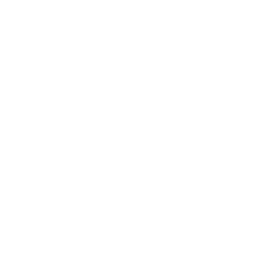 Veolia Environnement